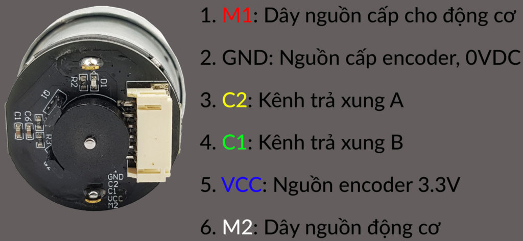 Ga 25 Encoder Động cơ DC giảm tốc GA25 Encoder - Nshop
