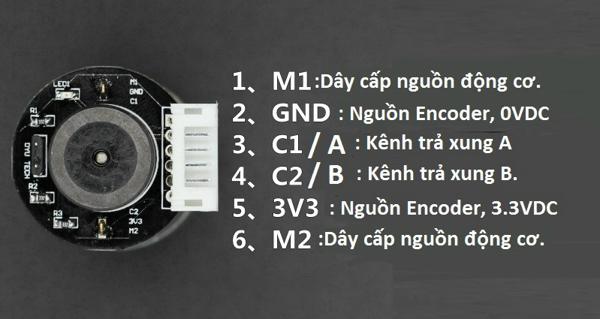 Động cơ DC giảm tốc GA25 Encoder 200rpm