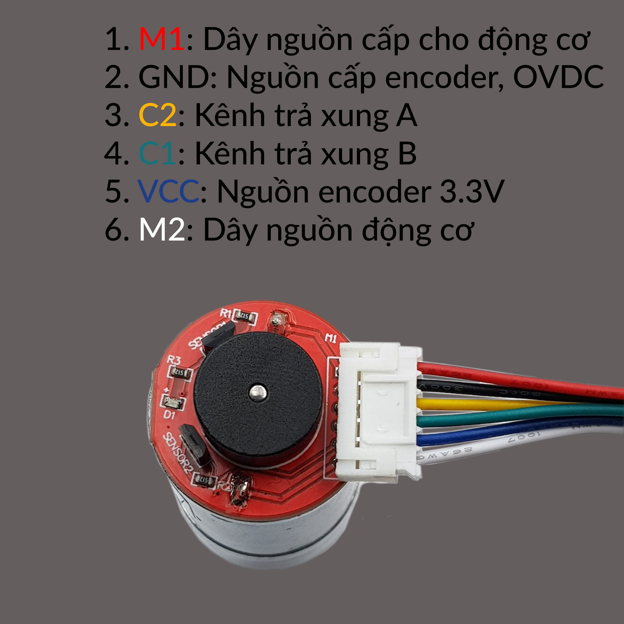 Sơ đồ chân của động cơ DC giảm tốc GA25 Encoder