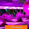 Led quang phổ 3W kèm đế 20mm, đèn led trồng cây quang phổ
