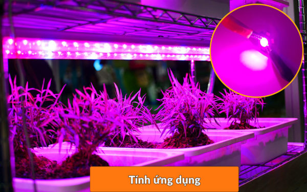 Led quang phổ 3W kèm đế 20mm, đèn led trồng cây quang phổ