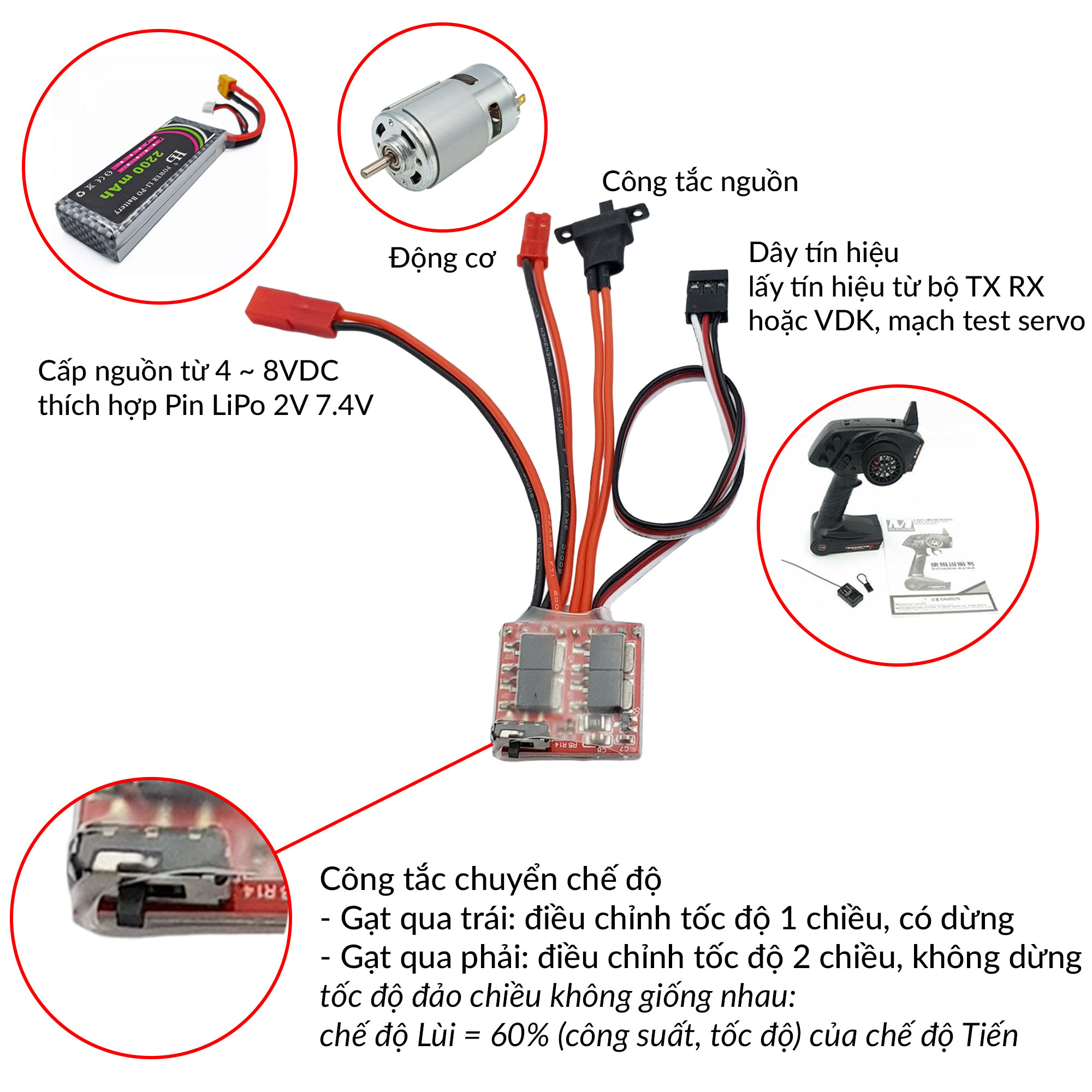 Ra chân Mạch ESC 30A 2S điều tốc động cơ DC chổi than