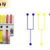 Cút nối nhanh dây điện 32A 3 đầu vào